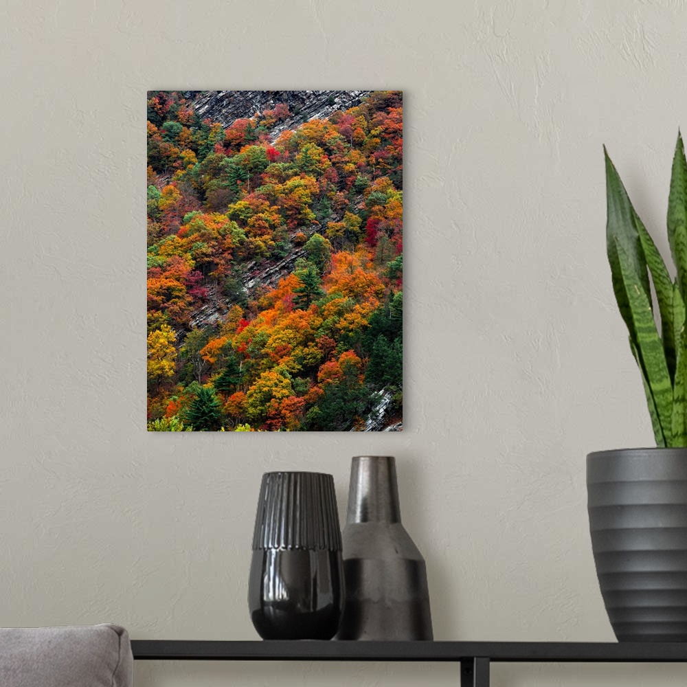 A modern room featuring Aerial view of snowy rock hidden among orange and green autumn trees.