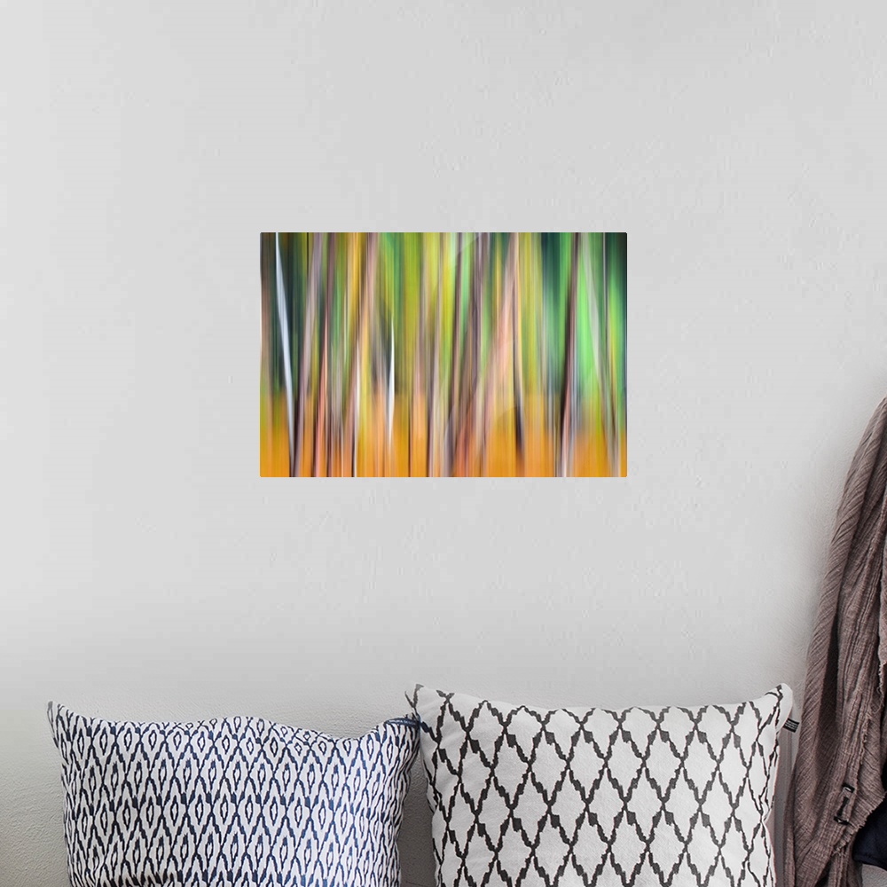 A bohemian room featuring Artistic photograph of a motion blurred and multi-colored forest scene.
