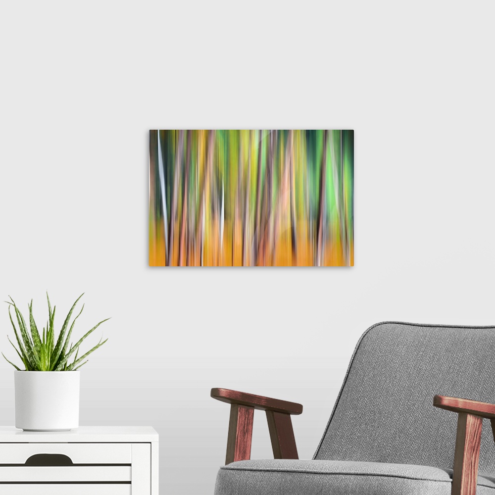 A modern room featuring Artistic photograph of a motion blurred and multi-colored forest scene.
