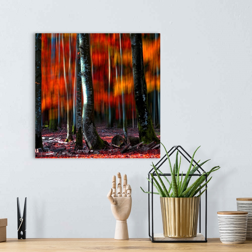 A bohemian room featuring A square canvas print of tree trunks in the foreground of blurry autumn colors.