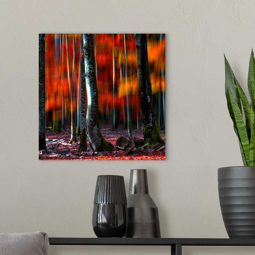 A modern room featuring A square canvas print of tree trunks in the foreground of blurry autumn colors.