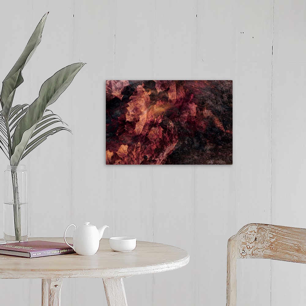 A farmhouse room featuring Abstract photograph of fallen leaves using contrasting dark and light hues.