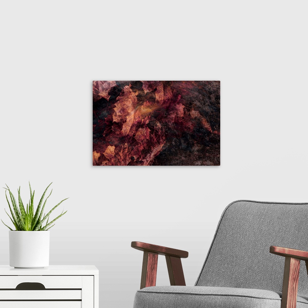 A modern room featuring Abstract photograph of fallen leaves using contrasting dark and light hues.