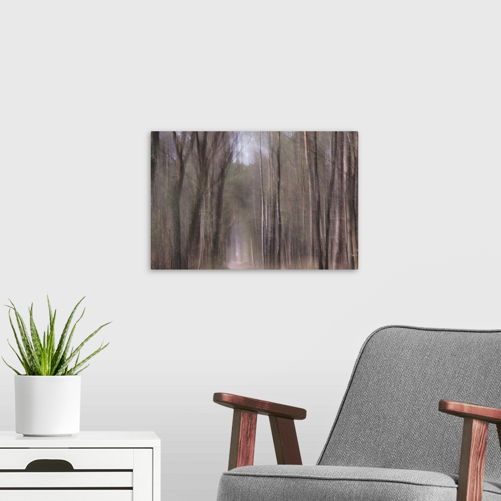 A modern room featuring Artistically blurred photo. Trees catch the sunbeams when they fall from heaven.