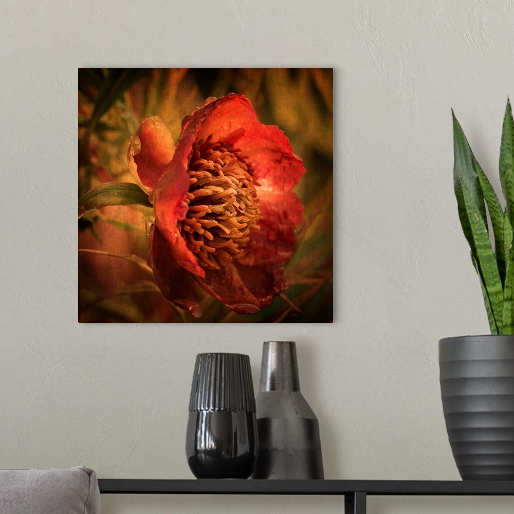 A modern room featuring Artist photograph of a close-up of a red flower.