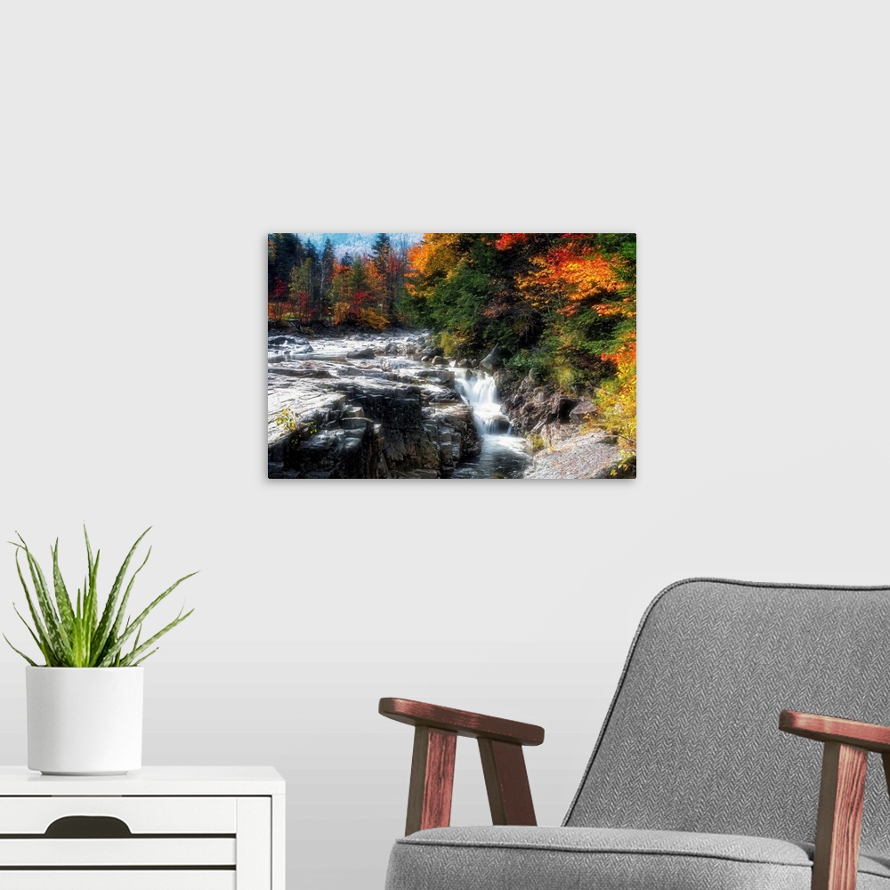 A modern room featuring Fine art photo of a rushing stream in a brightly colored forest in the fall.