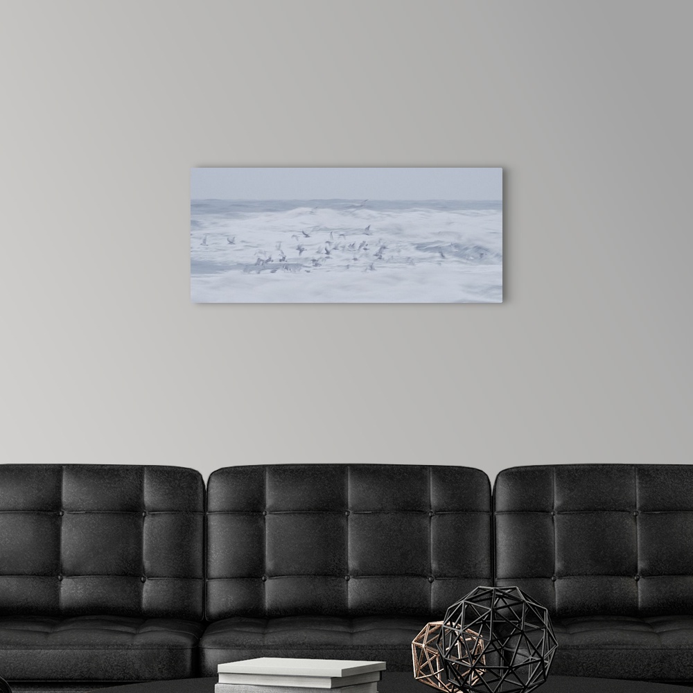 A modern room featuring Artistically blurred photo. Seagulls in search for food dive into the surf on a stormy day, witho...