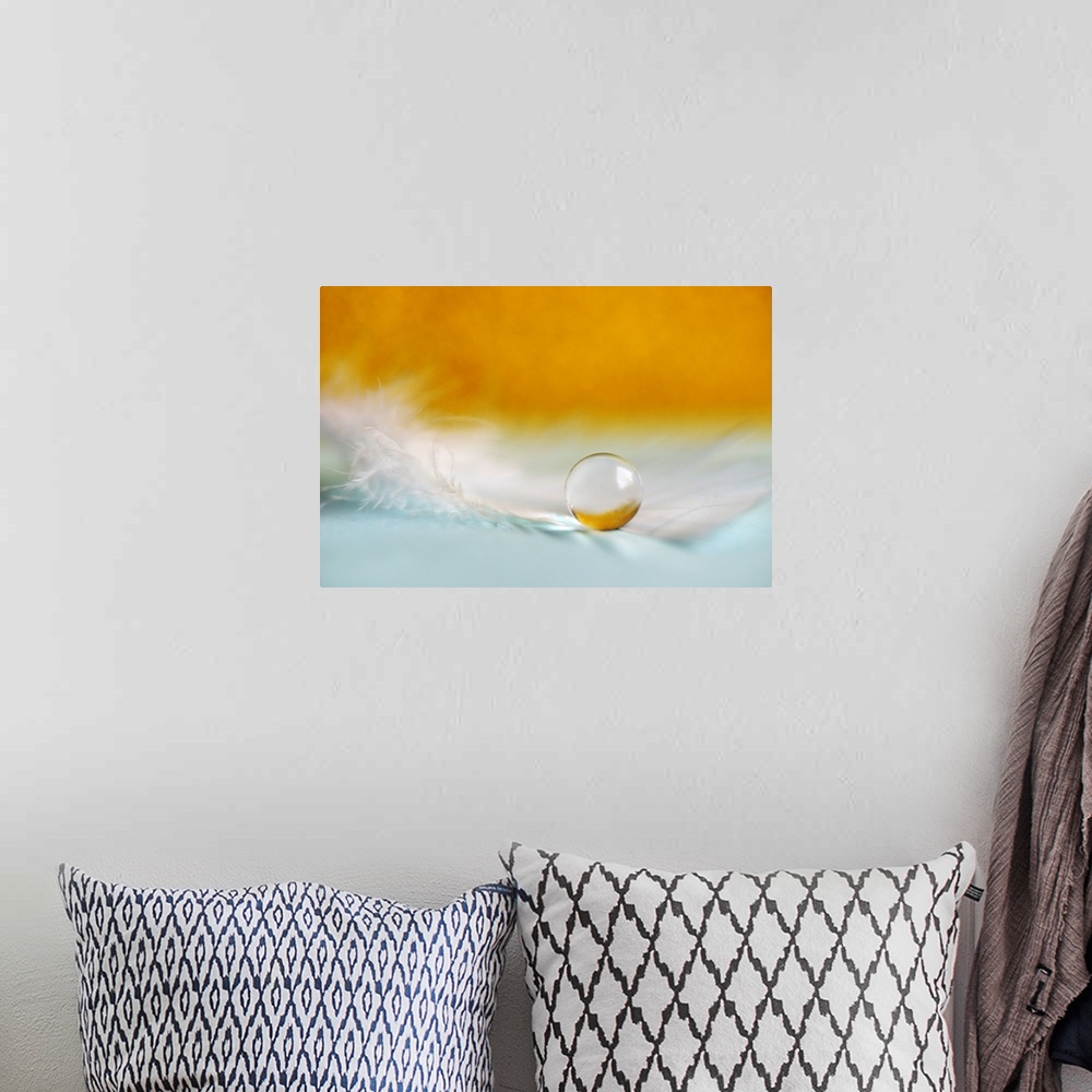 A bohemian room featuring A macro photograph of a water droplet sitting on a feather against an orange background.