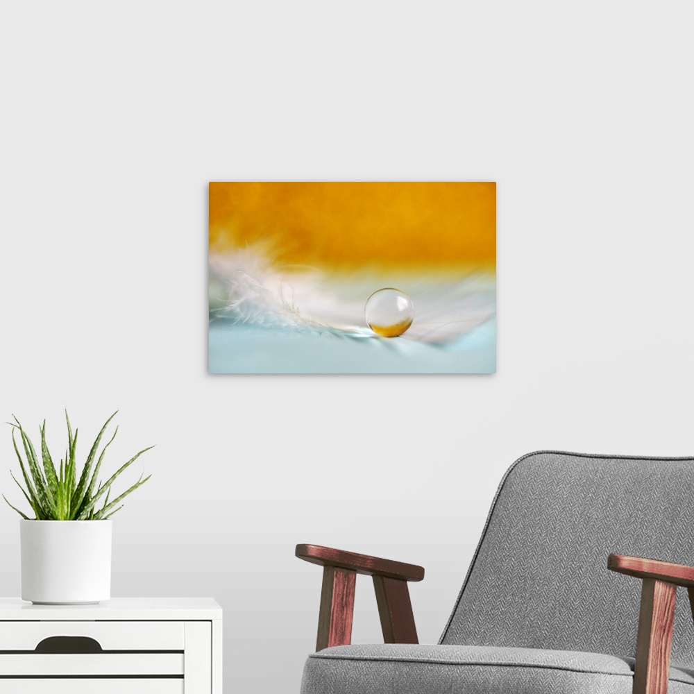 A modern room featuring A macro photograph of a water droplet sitting on a feather against an orange background.