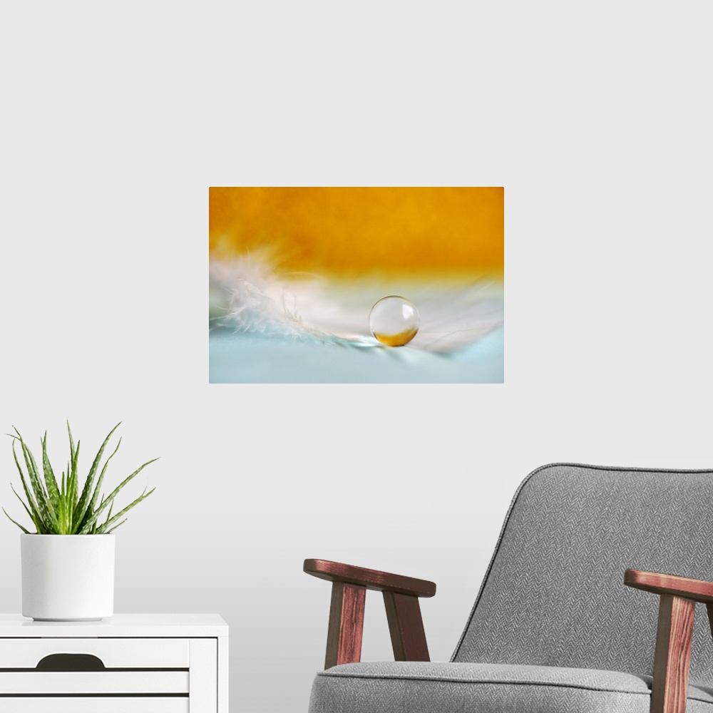 A modern room featuring A macro photograph of a water droplet sitting on a feather against an orange background.