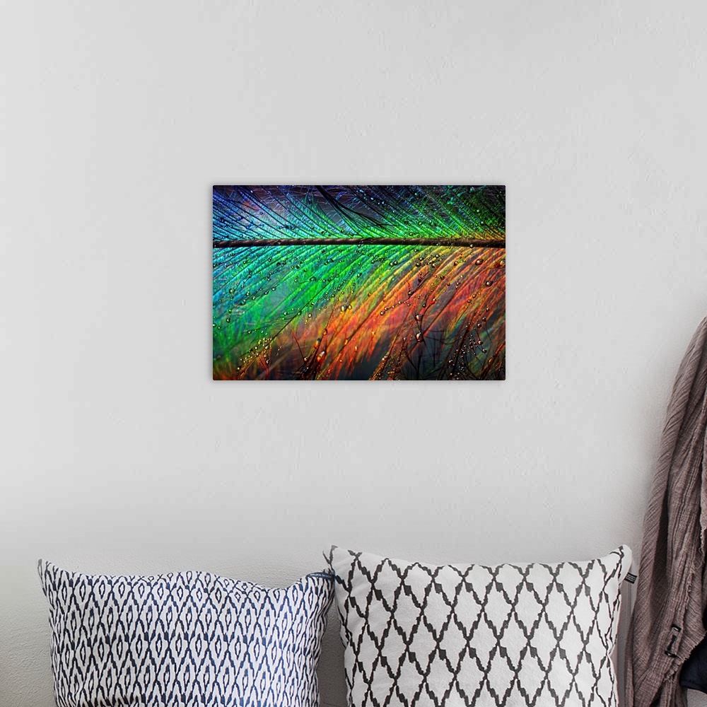 A bohemian room featuring Giant photograph displays a close-up of a rainbow colored feather sprinkled with water as it glis...