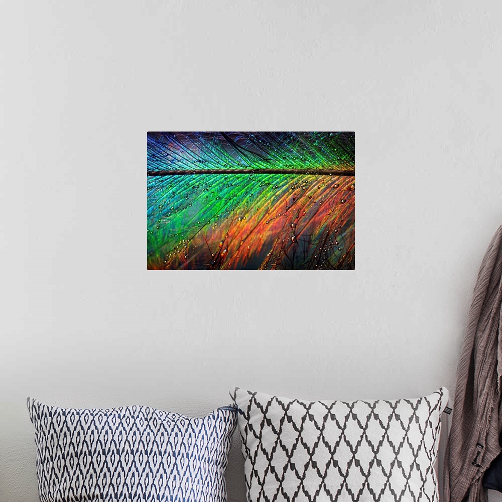 A bohemian room featuring Giant photograph displays a close-up of a rainbow colored feather sprinkled with water as it glis...