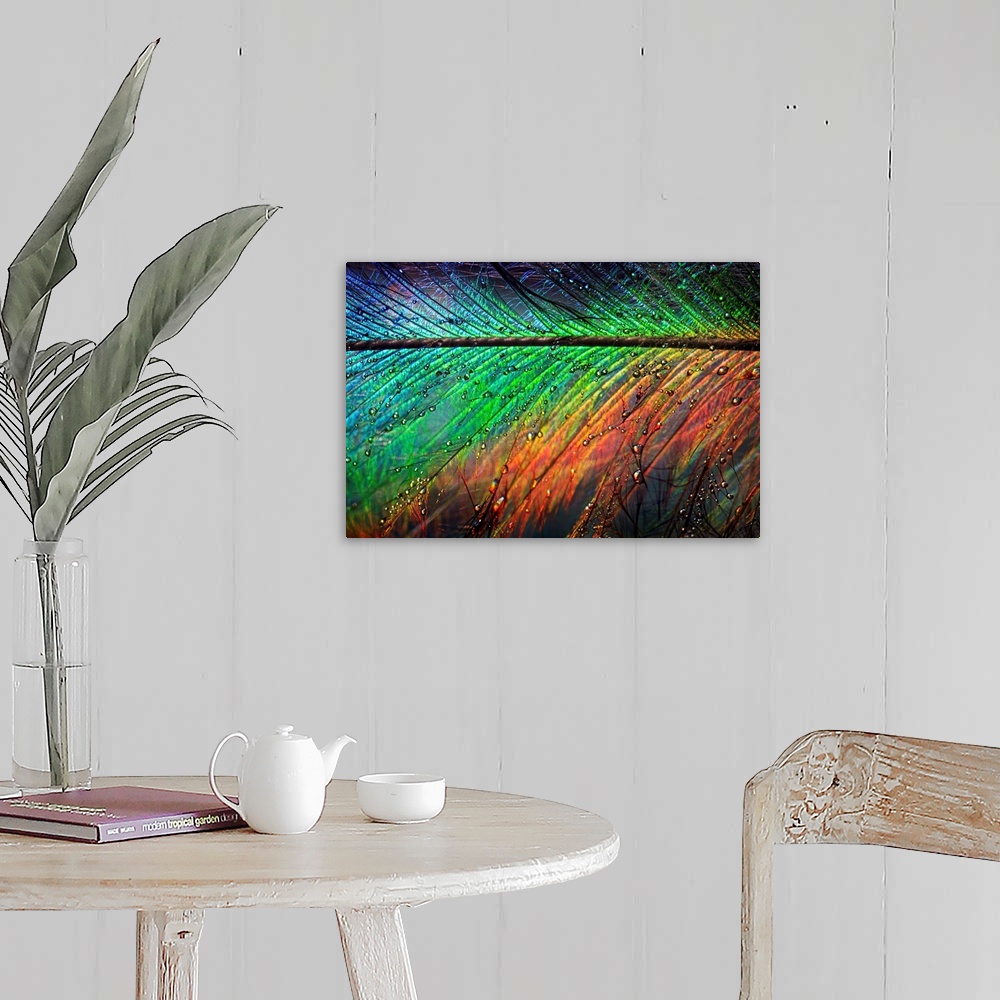 A farmhouse room featuring Giant photograph displays a close-up of a rainbow colored feather sprinkled with water as it glis...