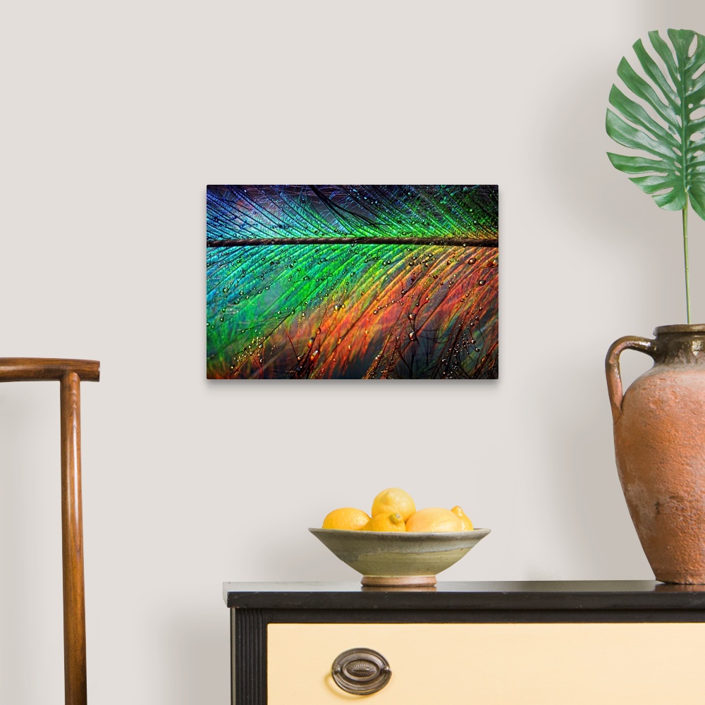 A traditional room featuring Giant photograph displays a close-up of a rainbow colored feather sprinkled with water as it glis...