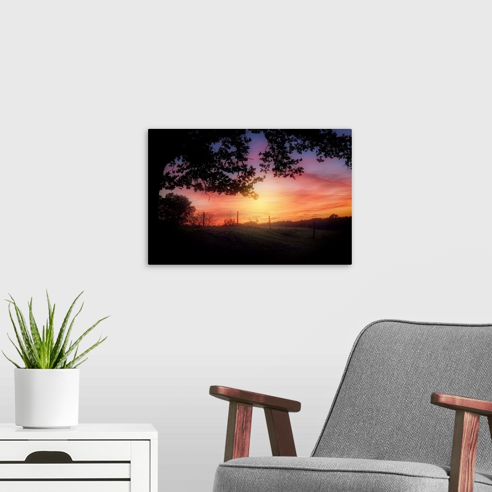 A modern room featuring Silhouette of tree branches at sunset over a field.