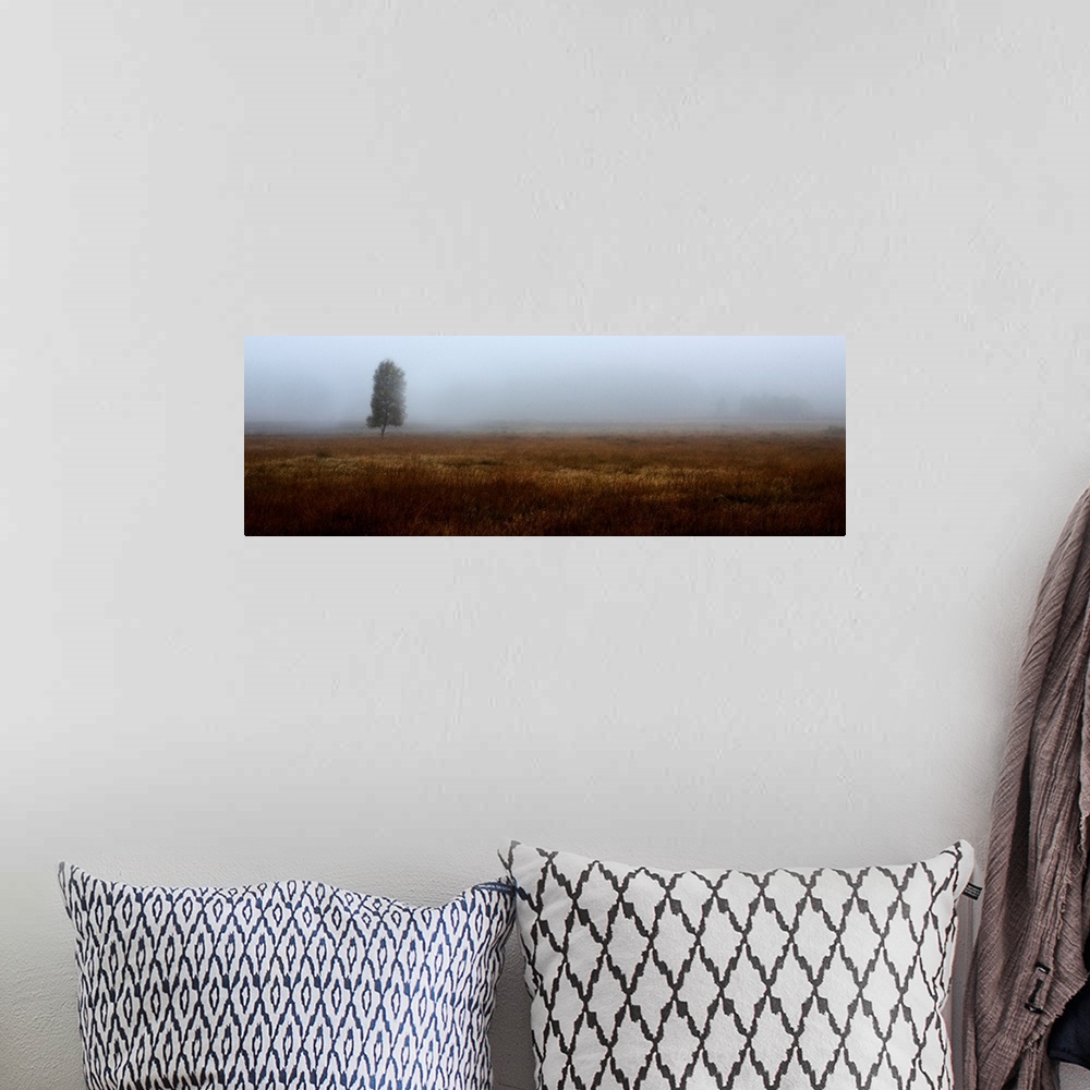 A bohemian room featuring A misty panoramic Scottish moorland landscape with a lone tree.