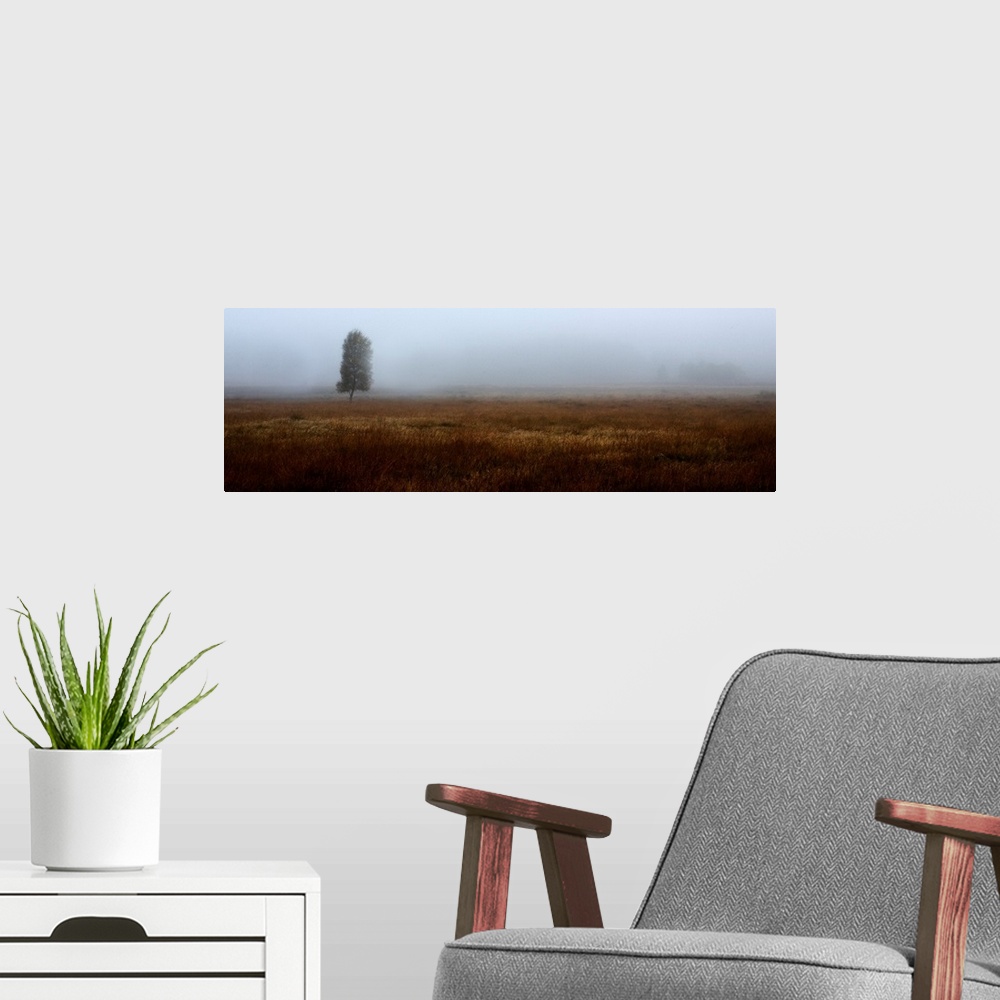 A modern room featuring A misty panoramic Scottish moorland landscape with a lone tree.