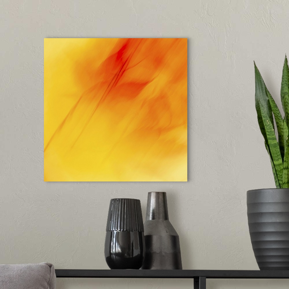 A modern room featuring Bright yellow and red abstract of maple leafe in vibrant colours.