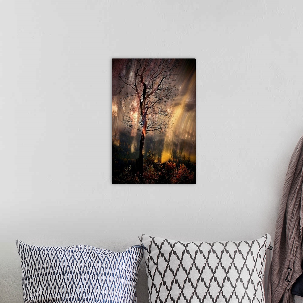 A bohemian room featuring Abstract photograph of a tall, bare tree in the woods with moving light lines in the background.
