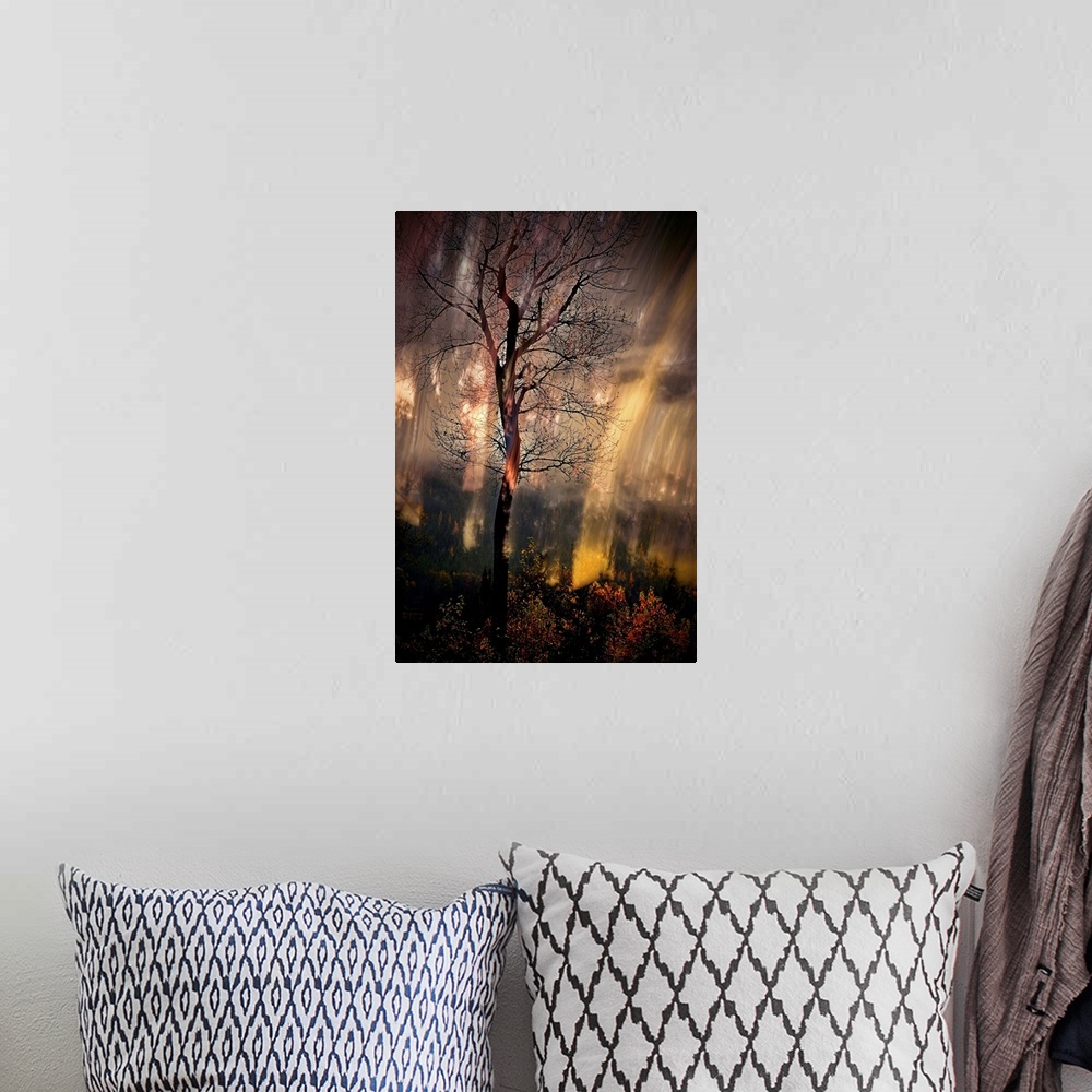 A bohemian room featuring Abstract photograph of a tall, bare tree in the woods with moving light lines in the background.