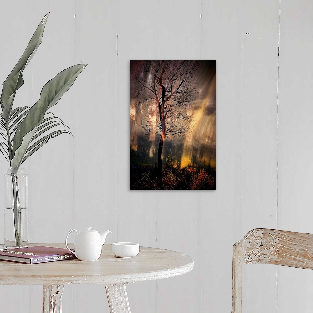 A farmhouse room featuring Abstract photograph of a tall, bare tree in the woods with moving light lines in the background.