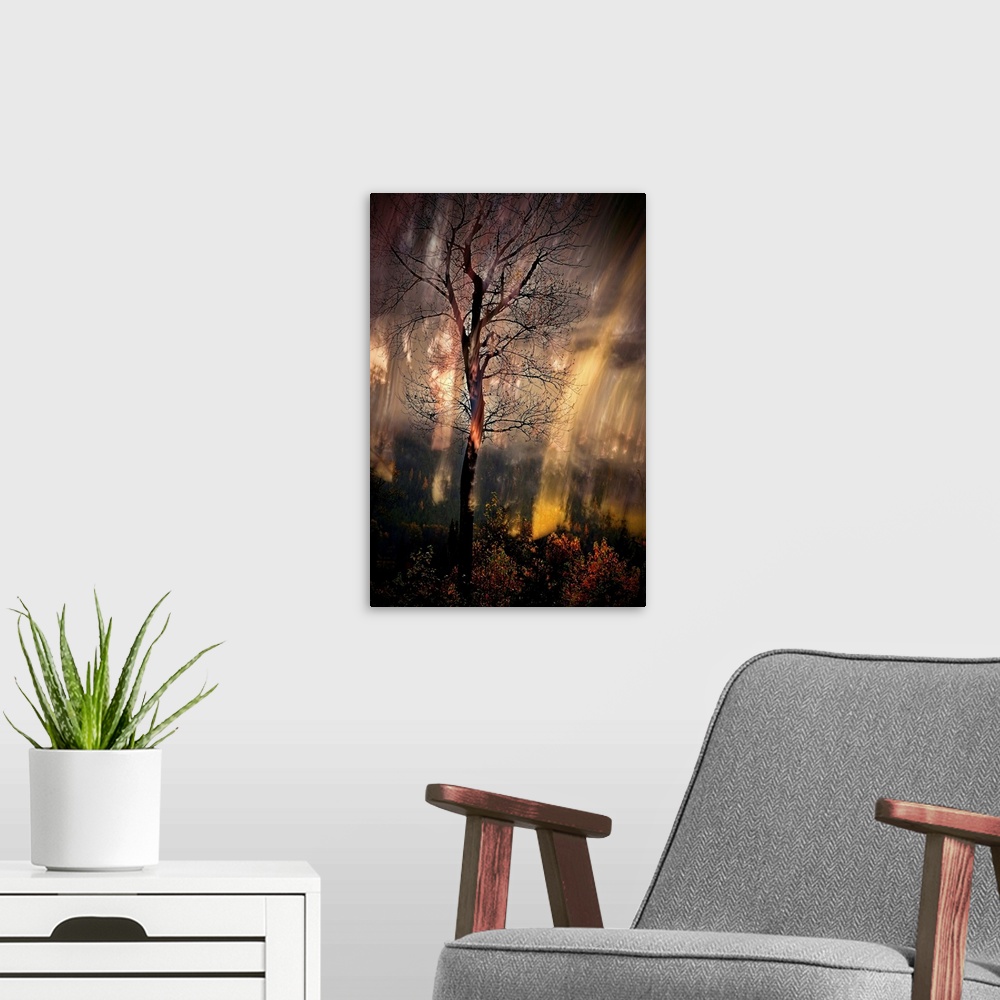 A modern room featuring Abstract photograph of a tall, bare tree in the woods with moving light lines in the background.