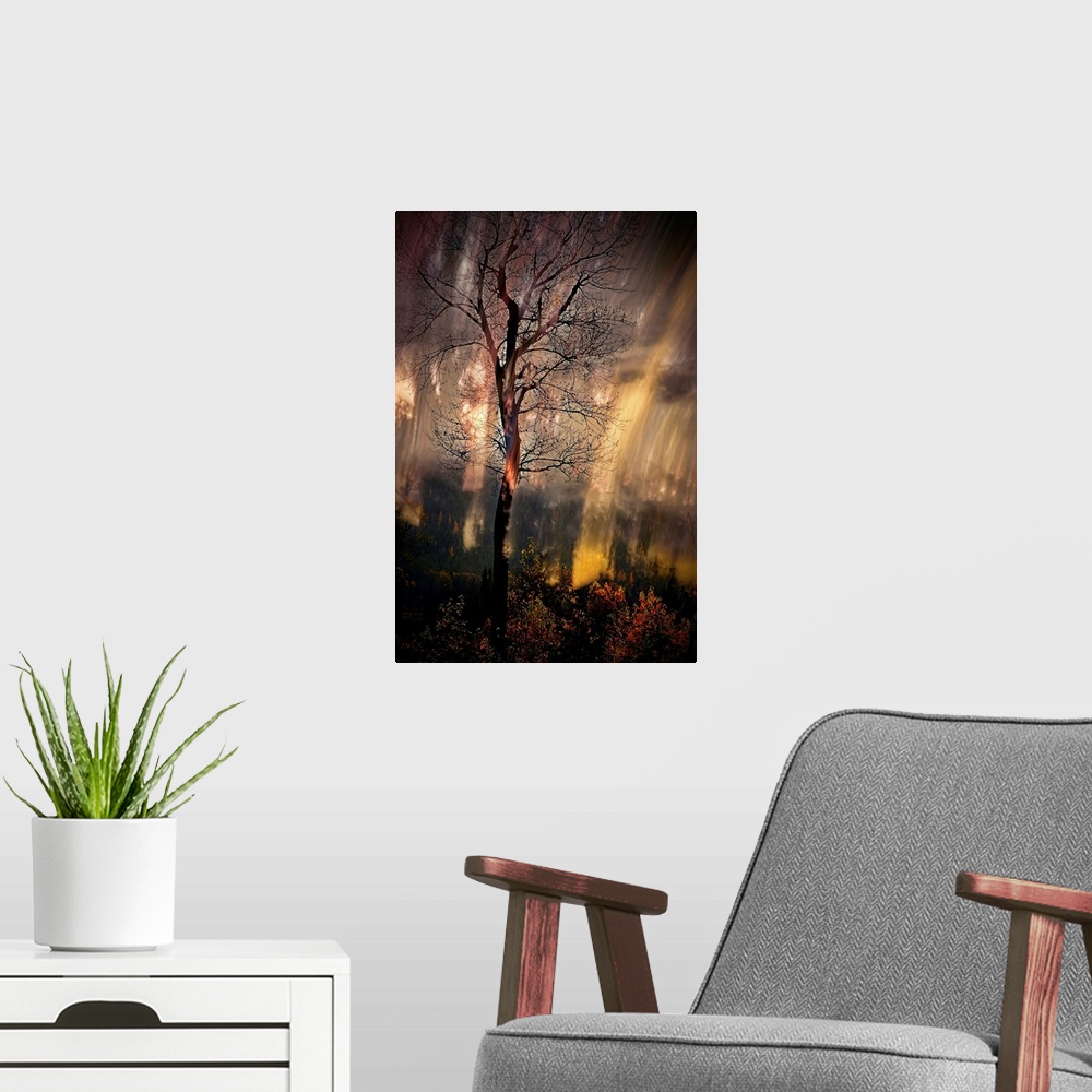 A modern room featuring Abstract photograph of a tall, bare tree in the woods with moving light lines in the background.