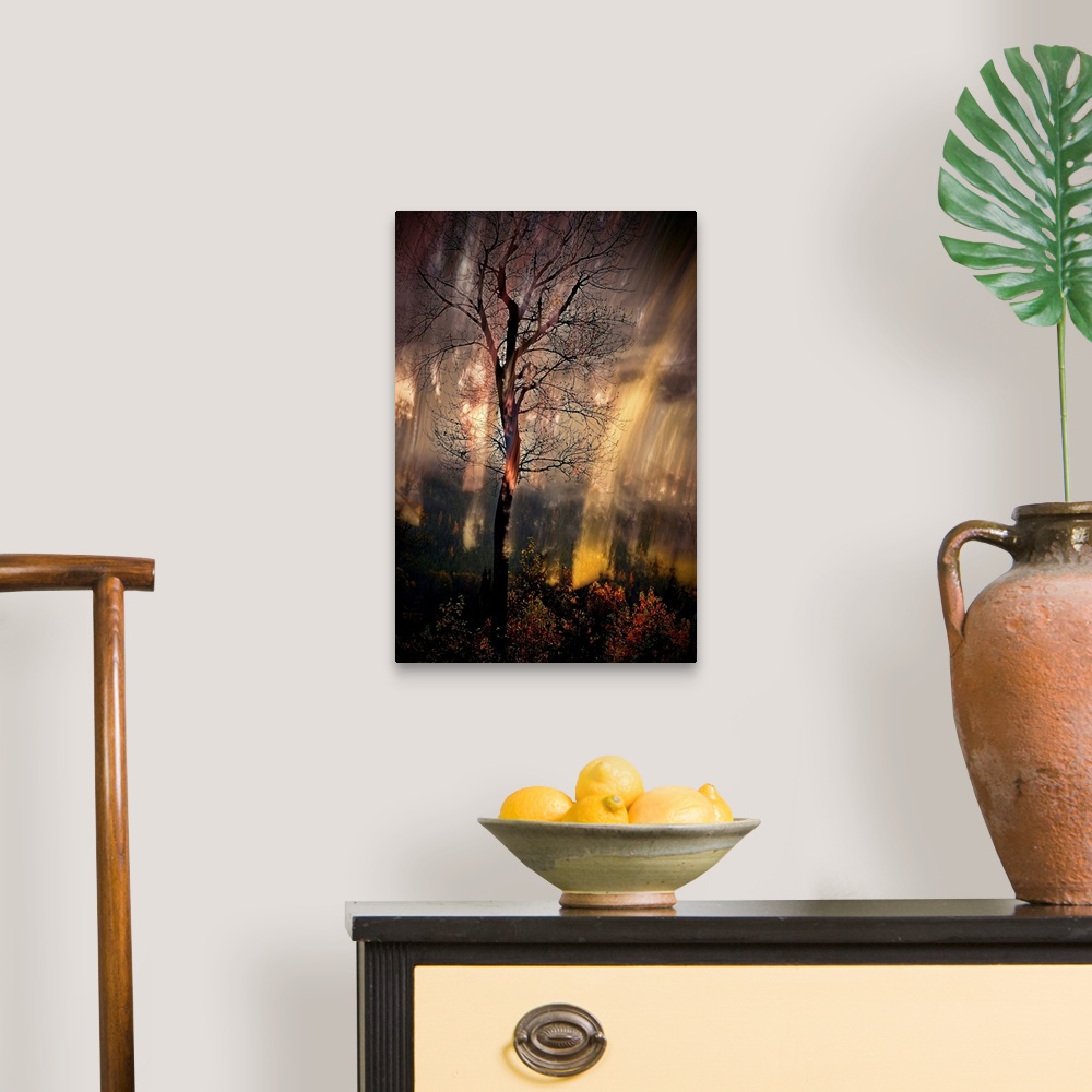 A traditional room featuring Abstract photograph of a tall, bare tree in the woods with moving light lines in the background.