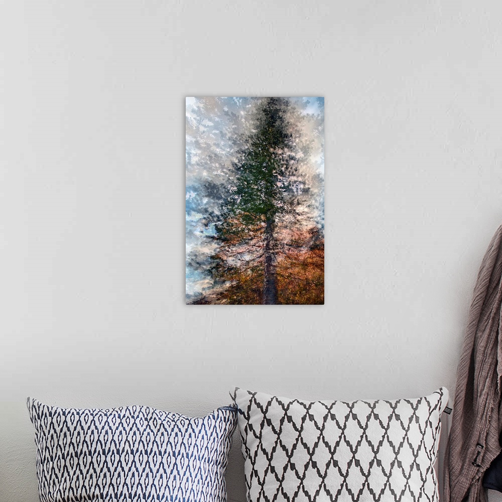 A bohemian room featuring Artistic photograph of a tree in multiple exposures.