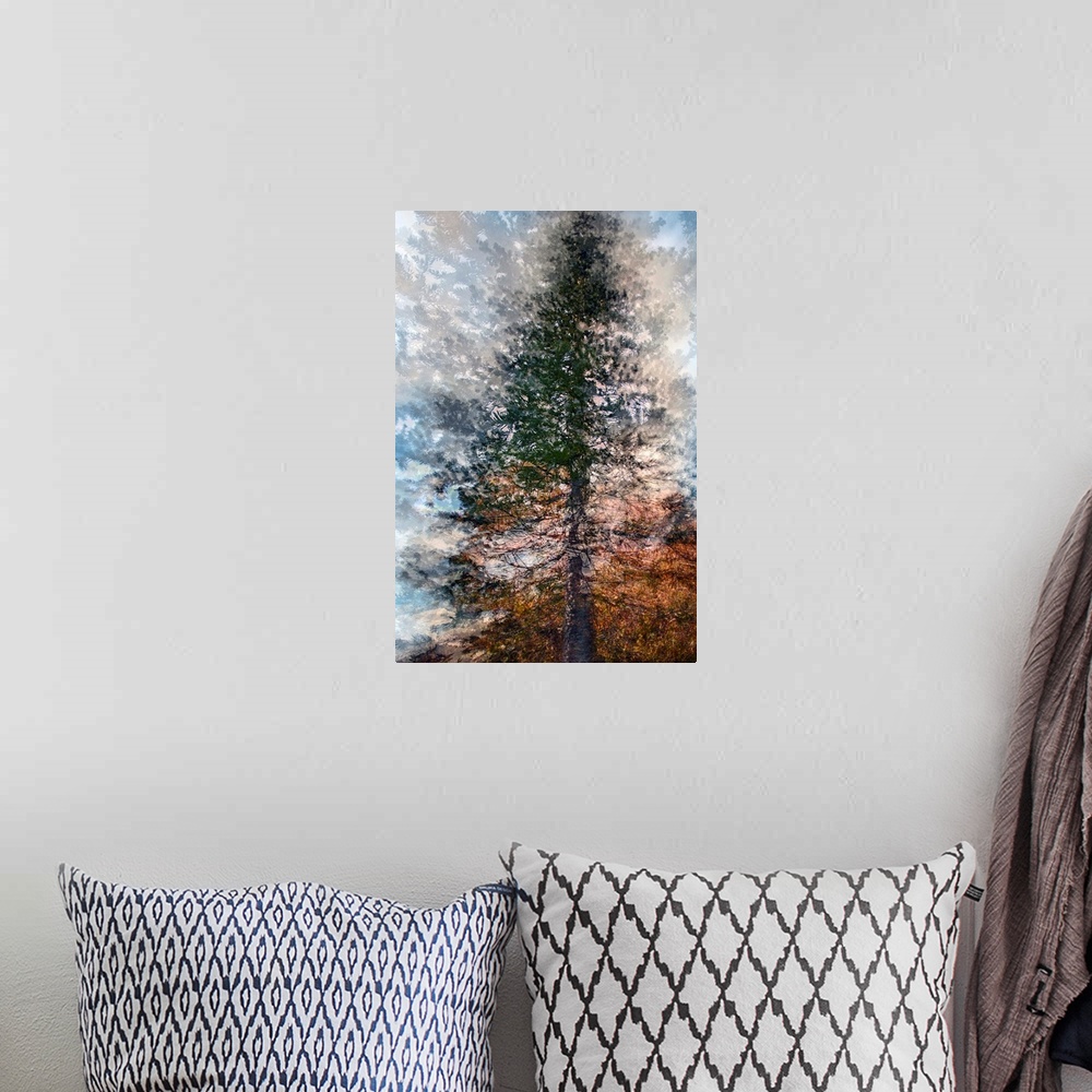 A bohemian room featuring Artistic photograph of a tree in multiple exposures.