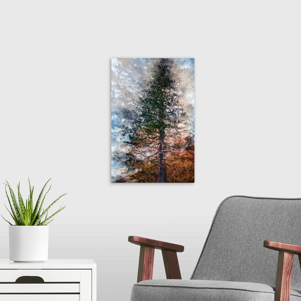 A modern room featuring Artistic photograph of a tree in multiple exposures.