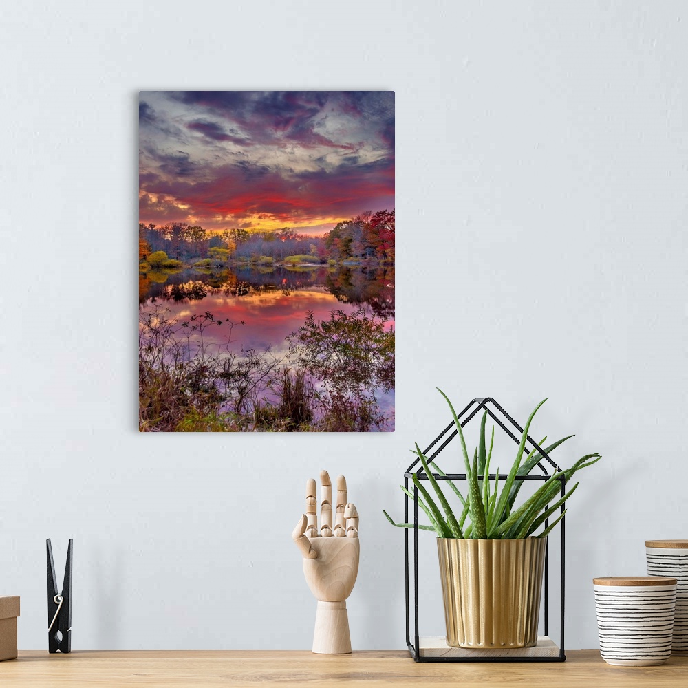 A bohemian room featuring Bright red clouds reflected in a pond in the middle of a forest at sunset.