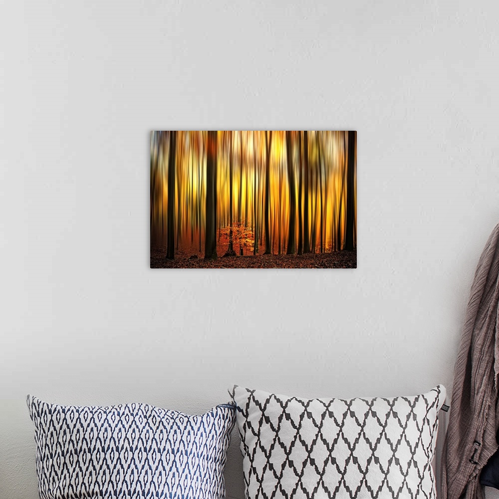 A bohemian room featuring A photographic abstract of a forest in fall with dark vertical tree trunks and blurred leaves tha...