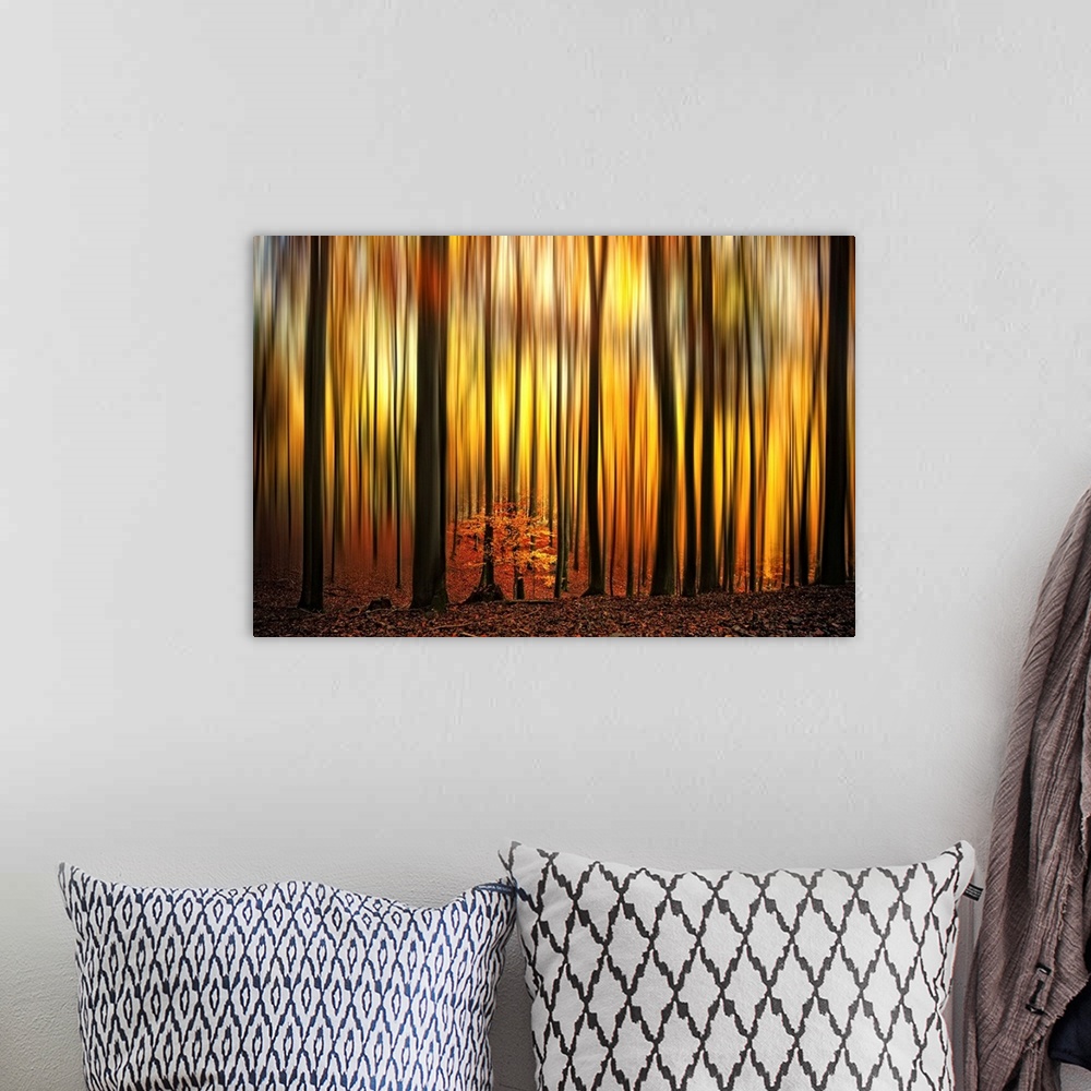 A bohemian room featuring A photographic abstract of a forest in fall with dark vertical tree trunks and blurred leaves tha...