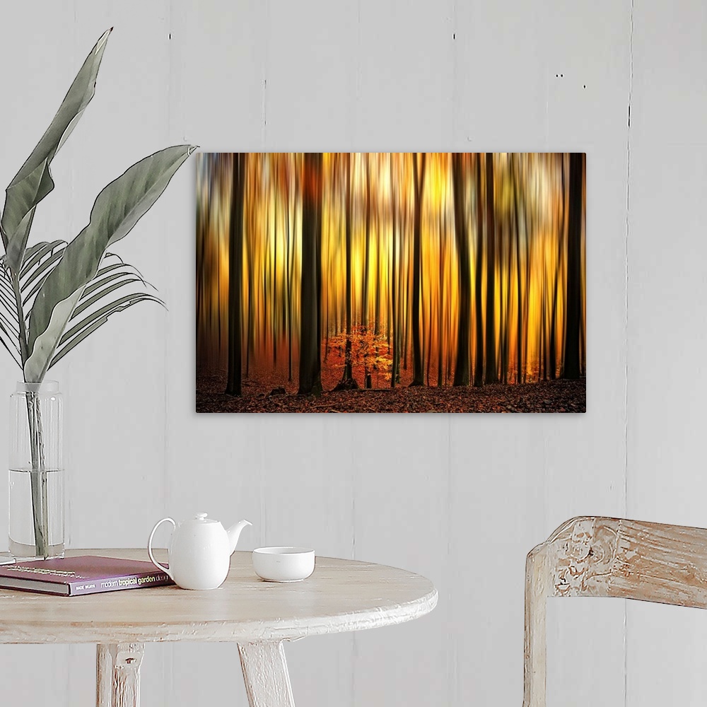 A farmhouse room featuring A photographic abstract of a forest in fall with dark vertical tree trunks and blurred leaves tha...