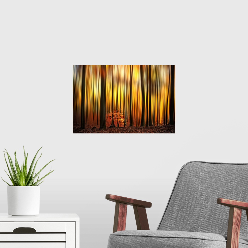 A modern room featuring A photographic abstract of a forest in fall with dark vertical tree trunks and blurred leaves tha...