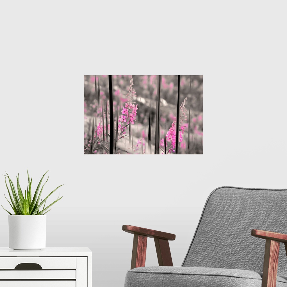 A modern room featuring Fireweed