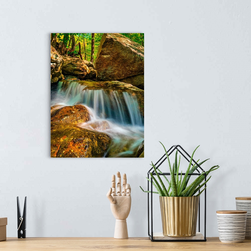 A bohemian room featuring A small waterfall over slick orange rocks in a verdant forest.