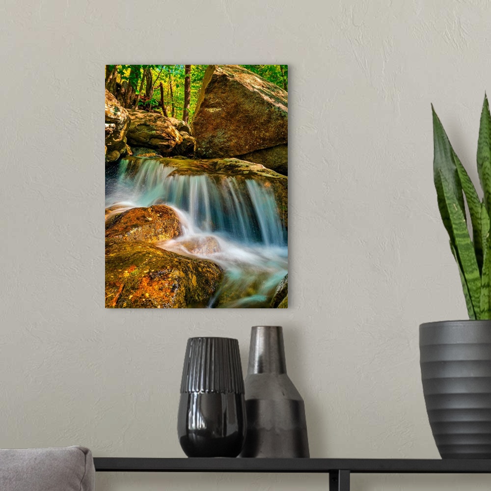 A modern room featuring A small waterfall over slick orange rocks in a verdant forest.