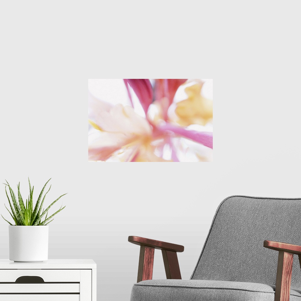 A modern room featuring The petals of a honeysuckle flower, touching you like a dream.
