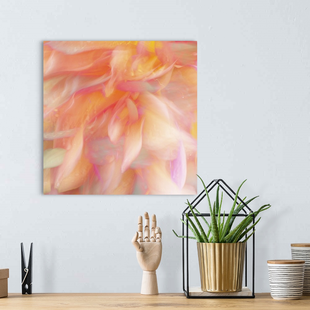 A bohemian room featuring Blurred image of fiery orange flower petals, resembling flames.