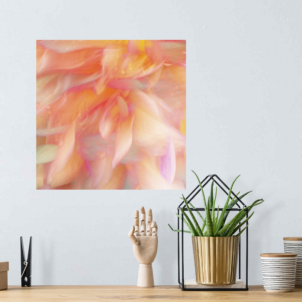 A bohemian room featuring Blurred image of fiery orange flower petals, resembling flames.