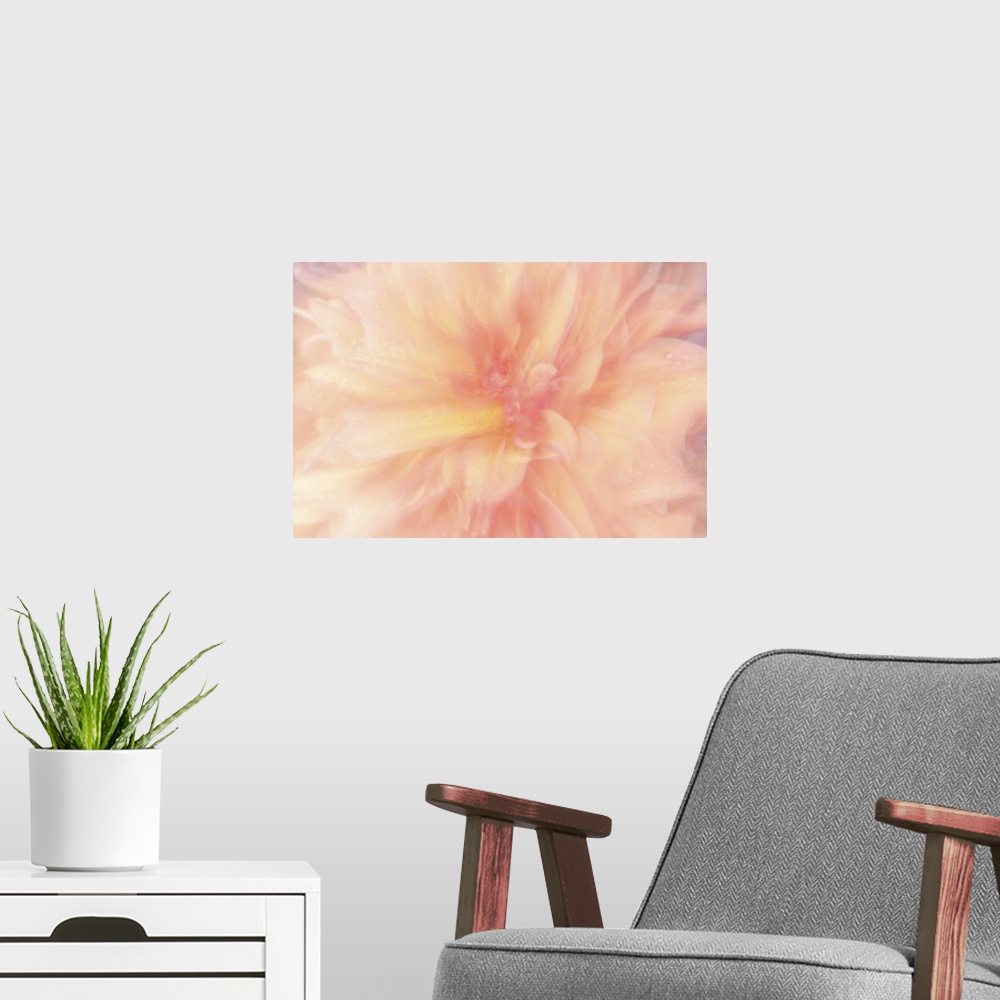 A modern room featuring Blurred image of fiery orange flower petals, resembling flames.