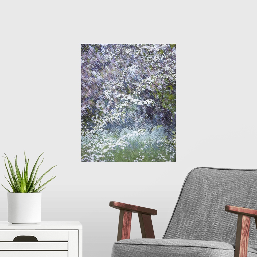 A modern room featuring A photograph of flowers in bloom in a garden.