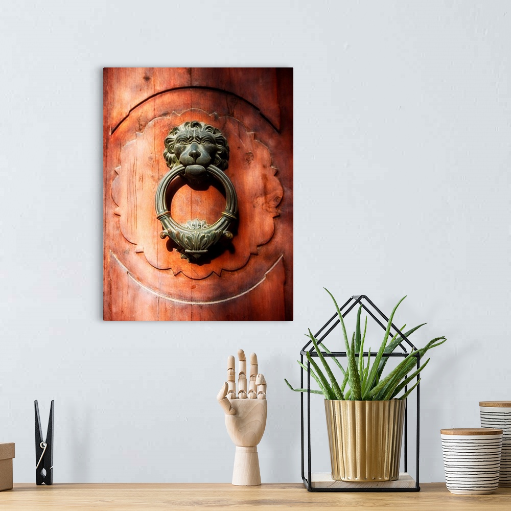 A bohemian room featuring Close Up View of a Lion Faced Door Knocker, Florence, Tuscany, Italy.