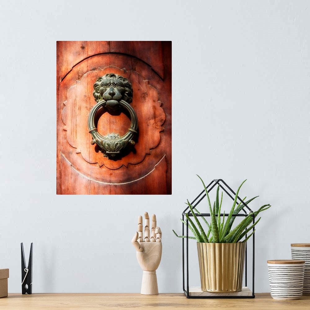 A bohemian room featuring Close Up View of a Lion Faced Door Knocker, Florence, Tuscany, Italy.