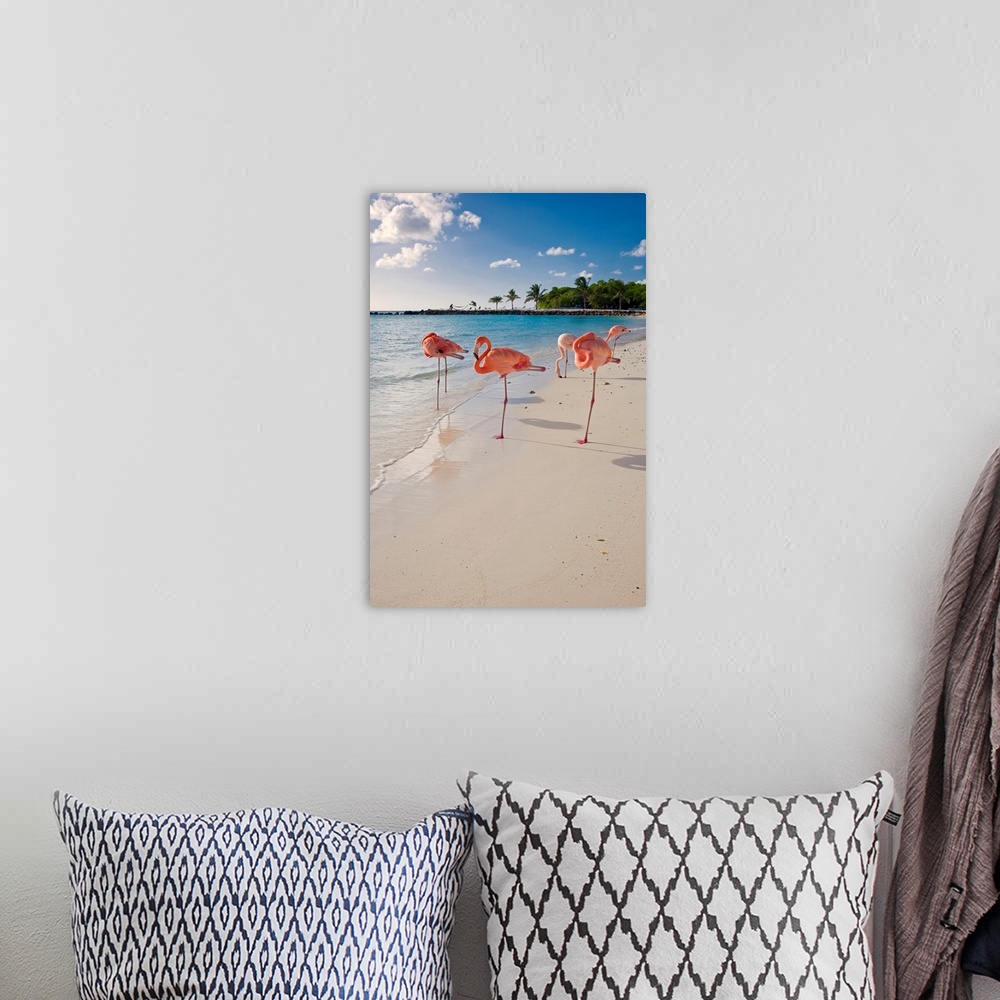 A bohemian room featuring This large wall art is a vertical photograph of five flamingos relaxing on a sandy, tropical beach.