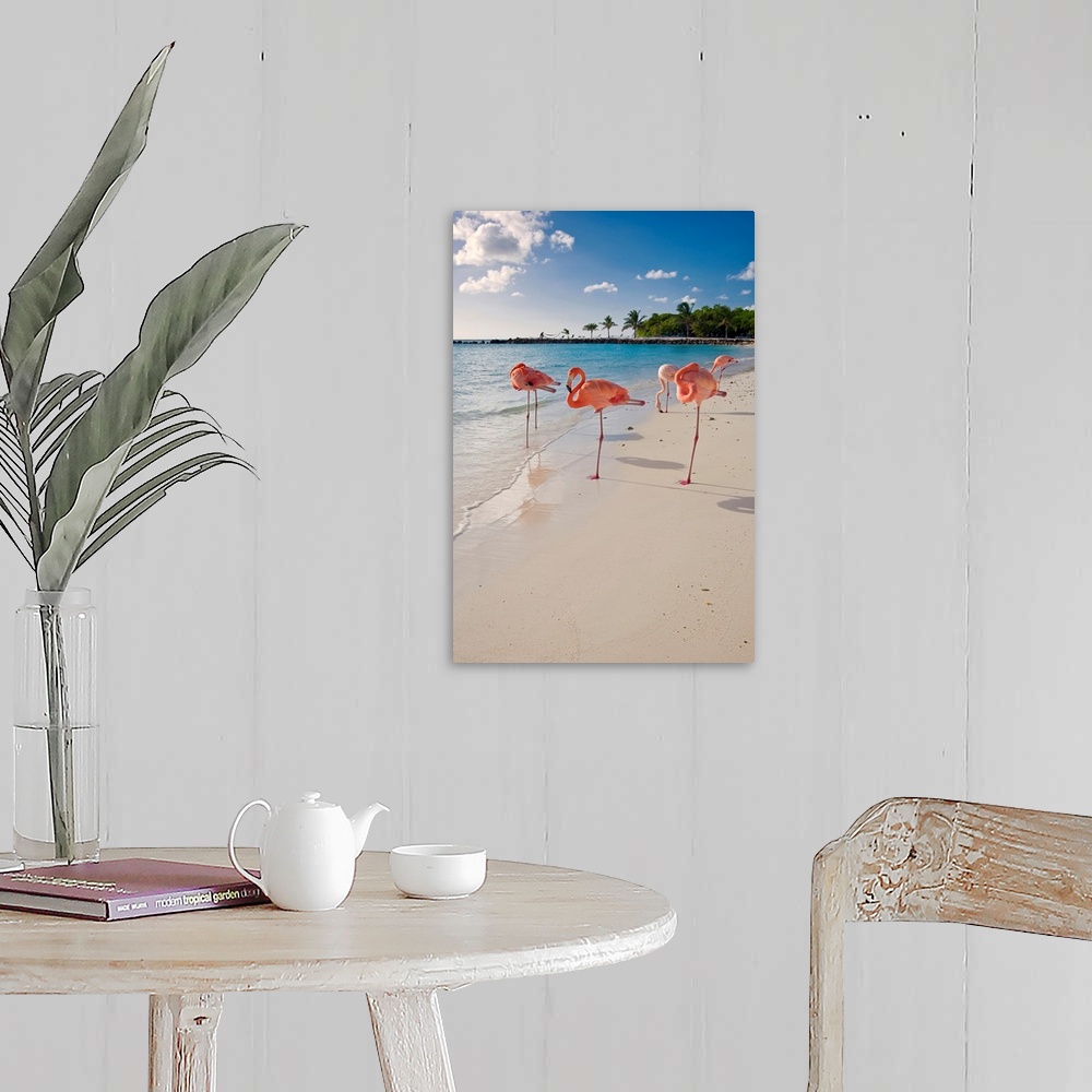 A farmhouse room featuring This large wall art is a vertical photograph of five flamingos relaxing on a sandy, tropical beach.