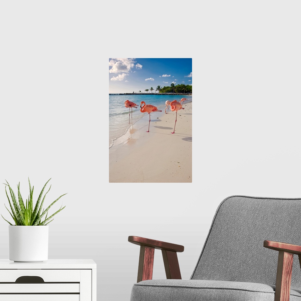 A modern room featuring This large wall art is a vertical photograph of five flamingos relaxing on a sandy, tropical beach.