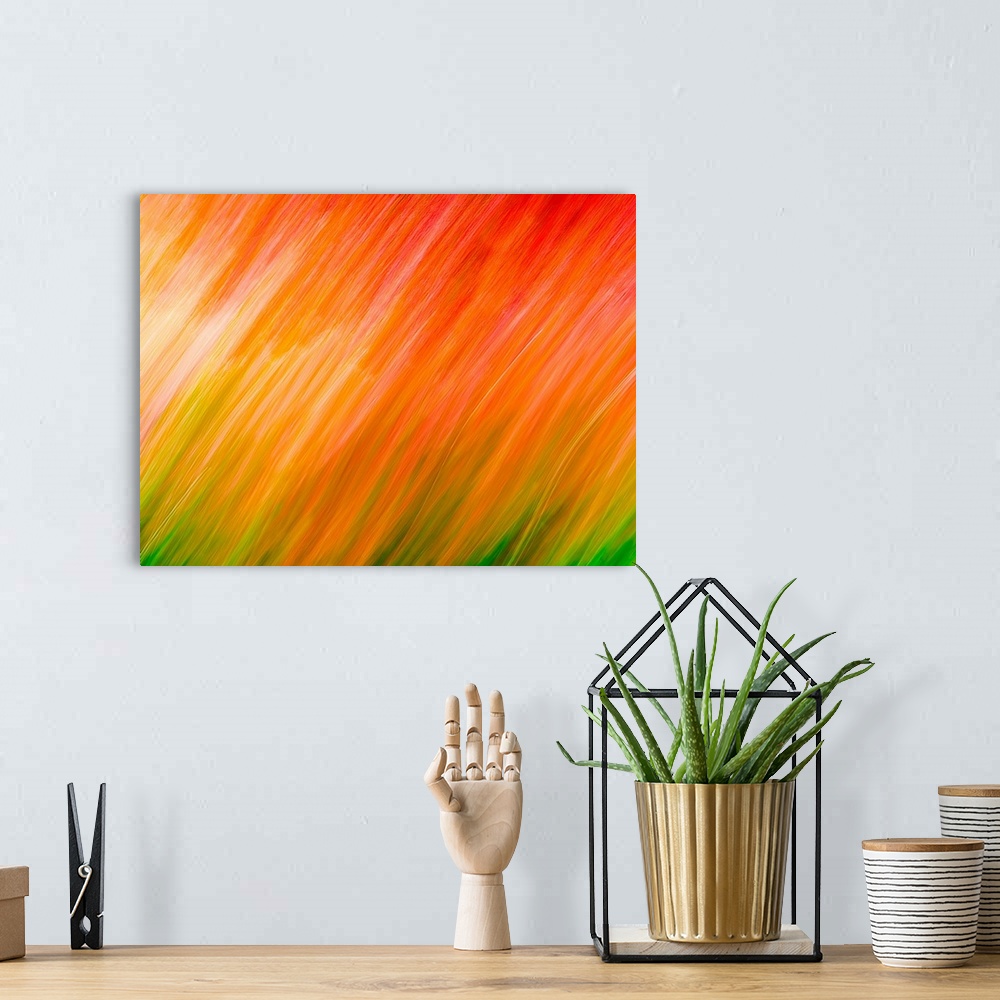 A bohemian room featuring Flower Brush Kinetic